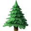 evergreen_tree evergreen_tree