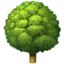 deciduous_tree deciduous_tree