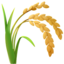 ear_of_rice ear_of_rice