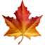 maple_leaf maple_leaf