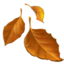 fallen_leaf fallen_leaf