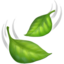 leaves leaves