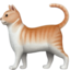 cat2 cat2