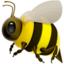 bee bee