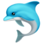 dolphin dolphin