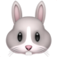 rabbit rabbit