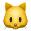 cat cat