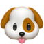 dog dog