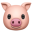 pig