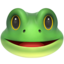frog frog