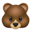 bear bear