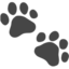 feet feet