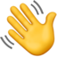 wave wave