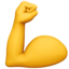muscle muscle
