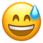 sweat_smile sweat_smile