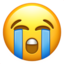 sob sob