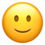 slightly_smiling_face slightly_smiling_face