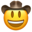 face_with_cowboy_hat face_with_cowboy_hat