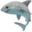 shark shark