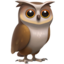 owl