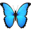 butterfly butterfly